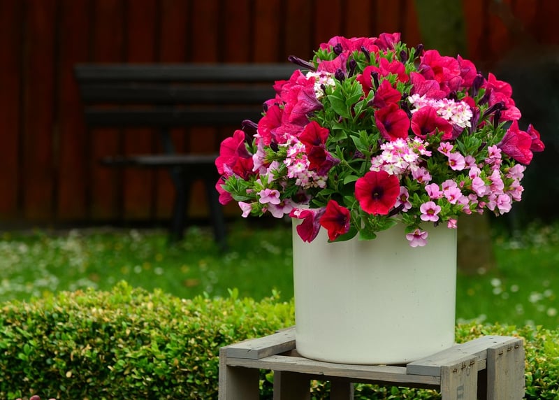 Balcony Garden