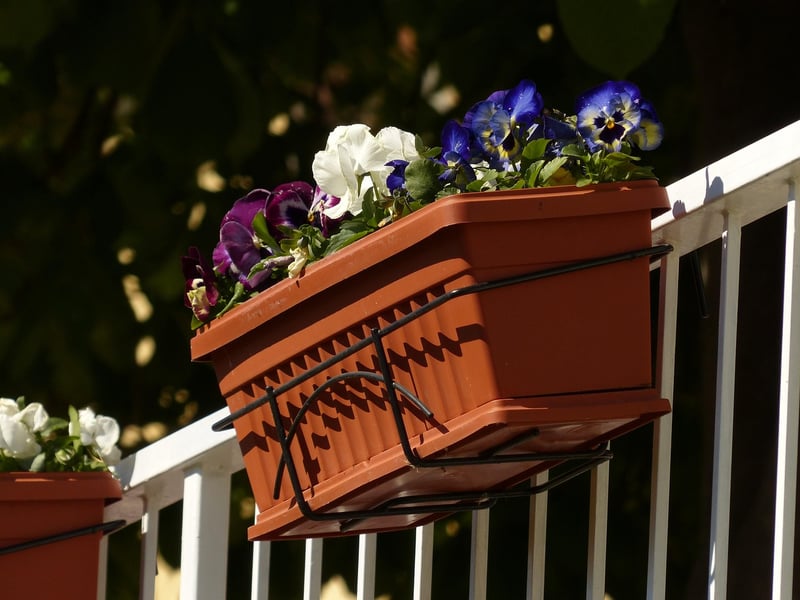 Balcony Garden Inspiration